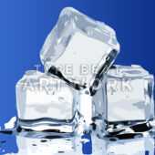 Ice Cubes