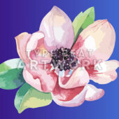 Magnolia